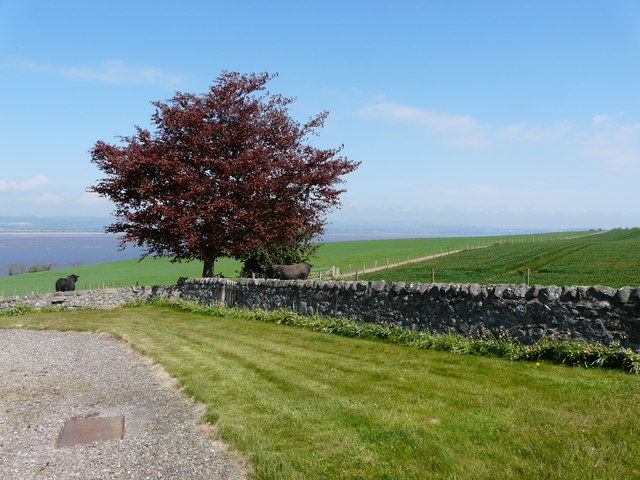 A walled green field with a mature tree above an estuary